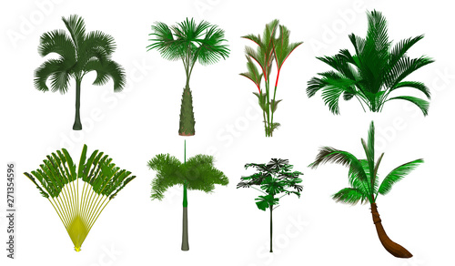 set of palm trees isolated on white background