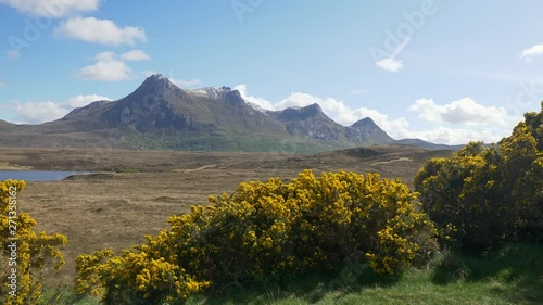 Wide landscape shot of Ben Loyal, Sutherland. Summertime, bright and sunny with blue skies. Gores bushes blow around in the foreground. photo