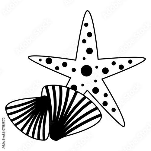 starfish seashell wildlife on white background