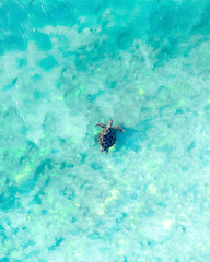 Keuken achterwand Turquoise Zeeschildpad in blauwe oceaangolven  © FRPhotos
