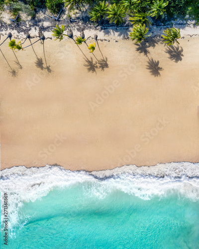 Beach aerial with palm trees, blue turquoise ocean and white sand. Magazine cover for travel, lifestyle, fashion photo