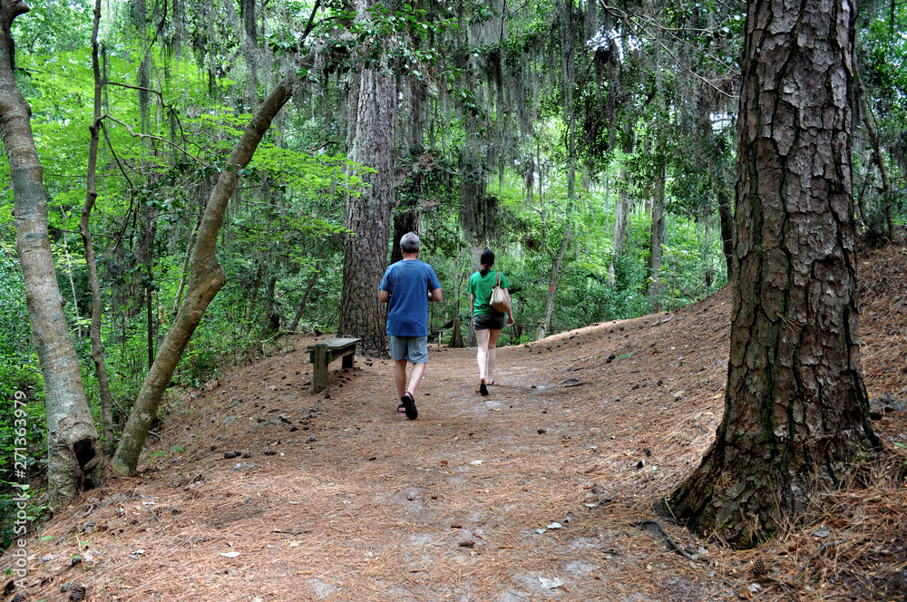 Hiking in the forest