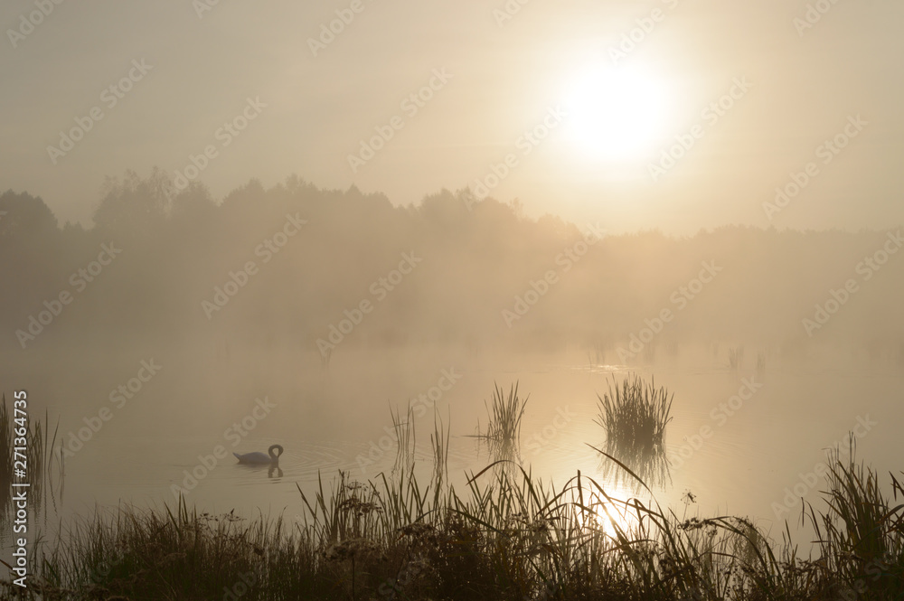 Fototapeta premium river