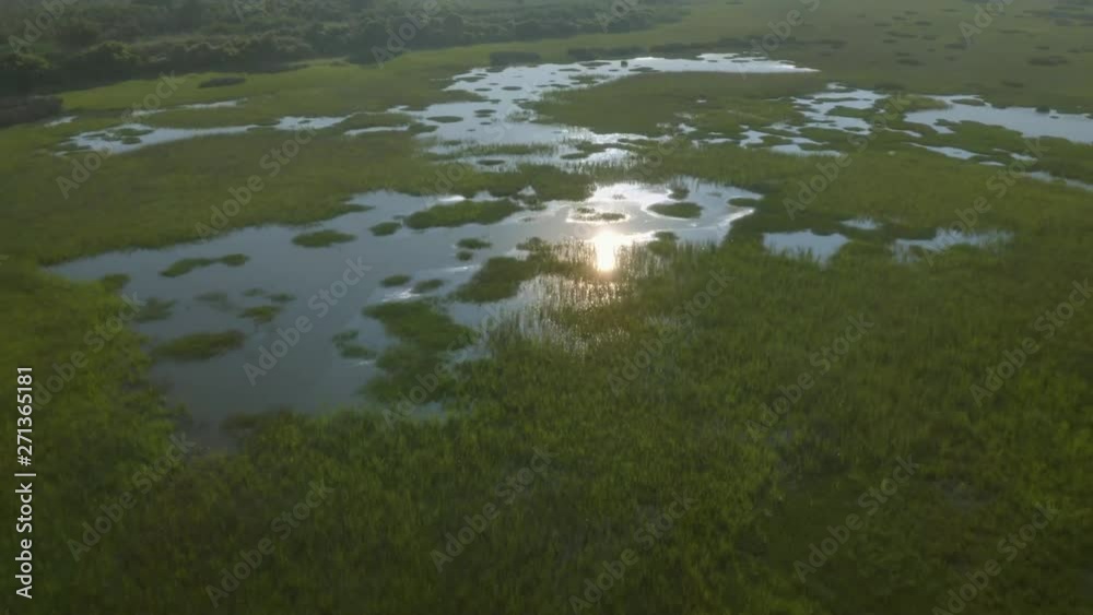 Natural Wetland Aerial with Sun Reflection and Lens Flare Natural Wetland Aerial with Sun Reflection and Lens Flare