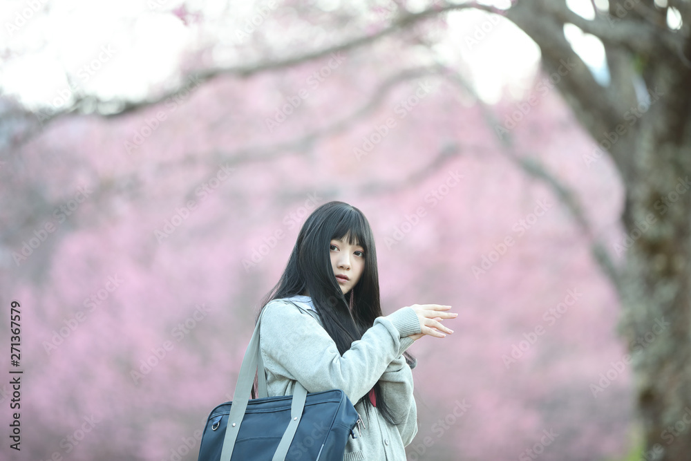 Japanese school girl dress looking sakura flower nature walkway Japanese school girl dress looking sakura flower nature walkway
