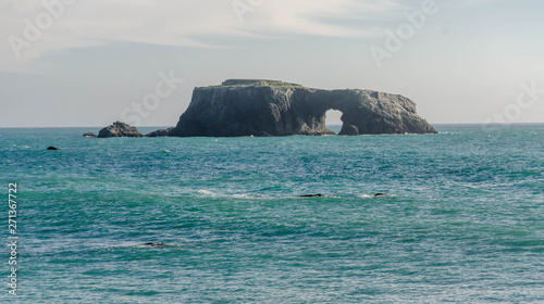 Sonoma Coast State Park