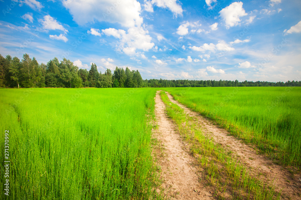 road in the field