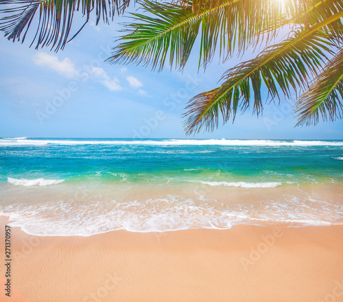 tropical beach with palm trees © Alexander Ozerov