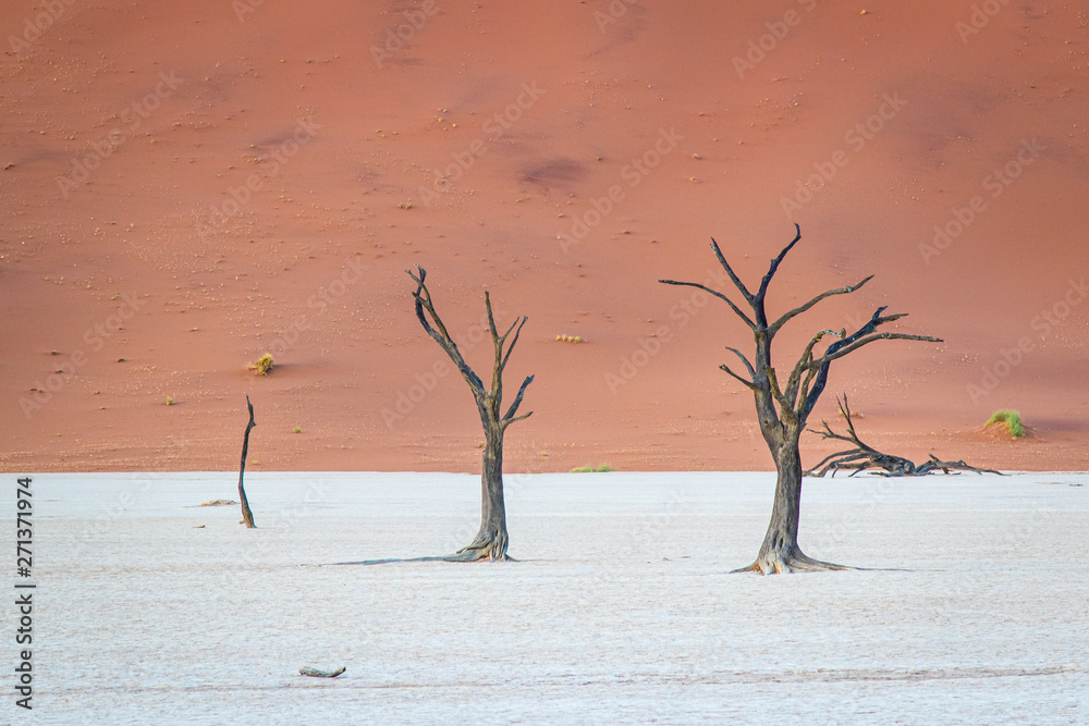 Deadvlei im Namib-Naukluft-Nationalpark, Namibia Deadvlei im Namib-Naukluft-Nationalpark, Namibia