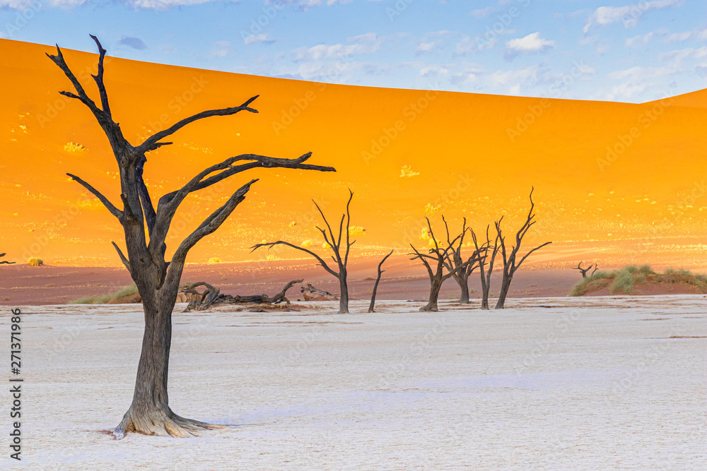 Deadvlei im Namib-Naukluft-Nationalpark, Namibia Deadvlei im Namib-Naukluft-Nationalpark, Namibia