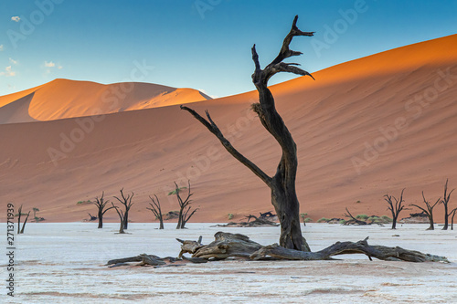 Deadvlei im Namib-Naukluft-Nationalpark, Namibia