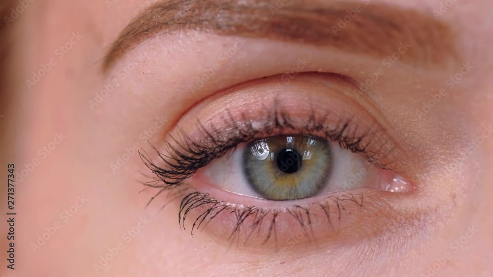 Green eye of a young blonde woman close up. Studio photography. Green eye of a young blonde woman close up. Studio photography.