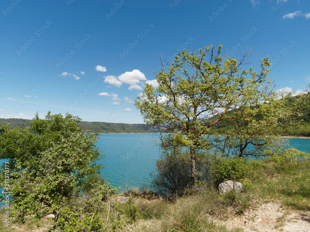 A Bauduen sur le sentier le long des berges du lac de Sainte-Croix au pied des gorges du Verdon. Alpes-de-Haute-Provence A Bauduen sur le sentier le long des berges du lac de Sainte-Croix au pied des gorges du Verdon. Alpes-de-Haute-Provence
