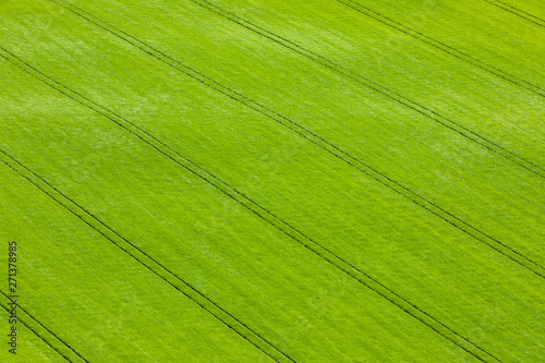 Natural texture and pattern. Green Scottish fields with wheat and barley from above. North Berwick. East Lothian. Scotland, United Kingdom. Aerial photography. Soft focus