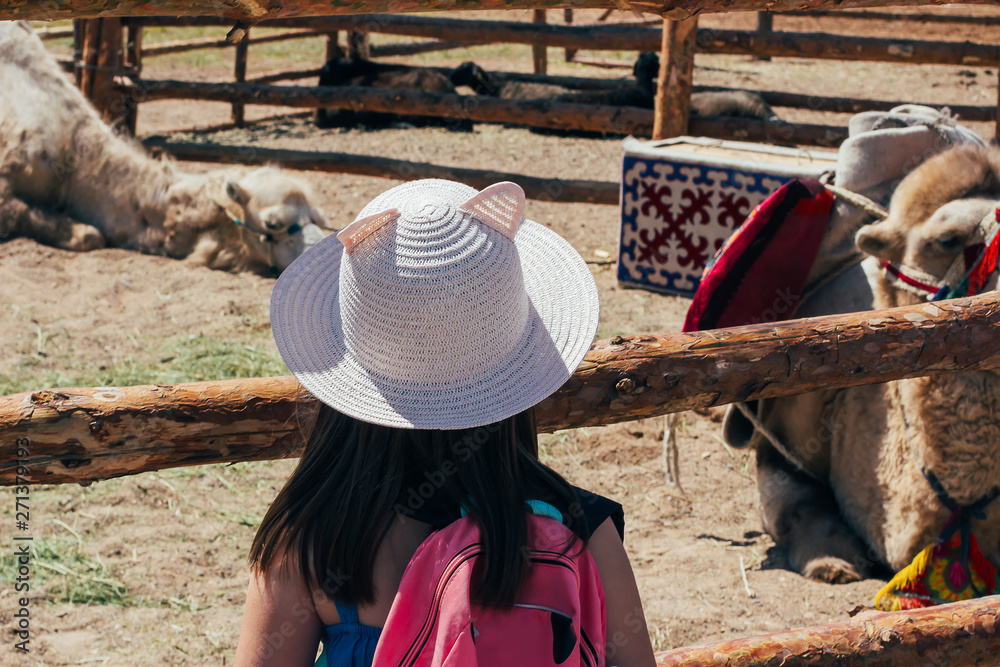 Preschool Girl in hat and blue dress with pink backpack looking animals camels in the Zoo. Summer vacation concept Preschool Girl in hat and blue dress with pink backpack looking animals camels in the Zoo. Summer vacation concept