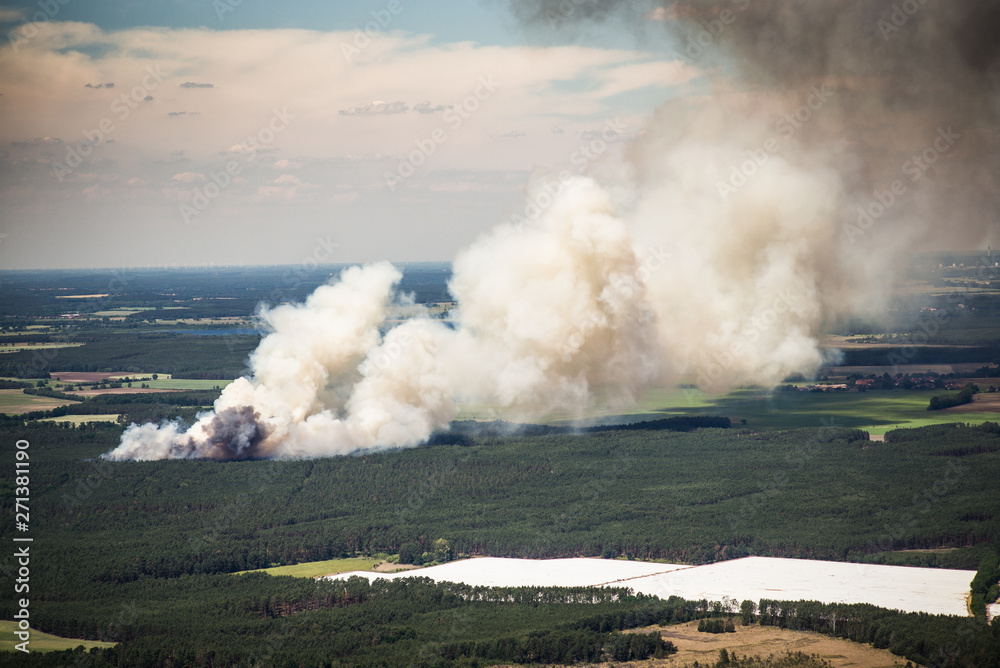 Smoke clouds and fire spread of a fire in the trees / forest - aerial view - forest fire 