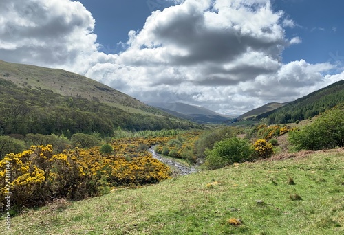 Cheviot hills photo
