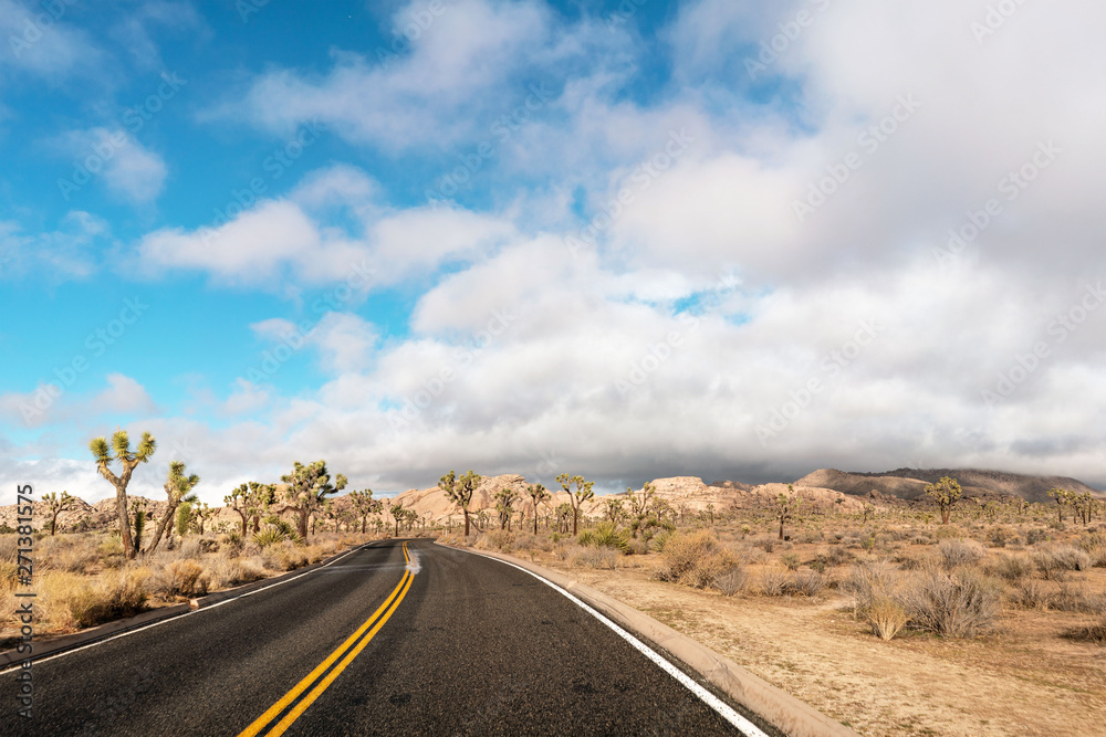 Desert road in Joshua Tree National park with outstanding sky above.