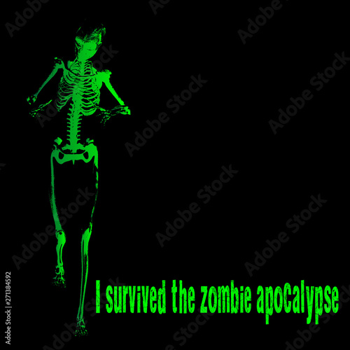 I Survived The Zombie Apocalypse