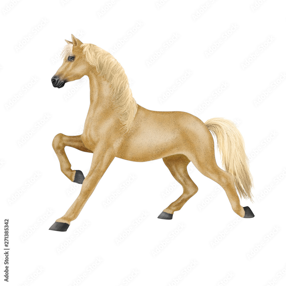 cheval jaune, blanc, isolé, animal, étalon, mammifère, courir, chevalin, ferme, galop, crin, poney, amoureux des chevaux, course, andalou, nature, illustration, sauvage, poulain, course, jument, beau cheval jaune, blanc, isolé, animal, étalon, mammifère, courir, chevalin, ferme, galop, crin, poney, amoureux des chevaux, course, andalou, nature, illustration, sauvage, poulain, course, jument, beau