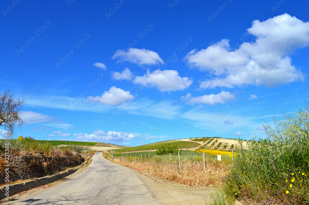 Picturesque Sicilian Scenery in a Country Road, Caltanissetta, Sicily, Italy, Europe Picturesque Sicilian Scenery in a Country Road, Caltanissetta, Sicily, Italy, Europe