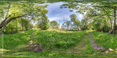 Fototapeta Naklejka Na Ścianę i Meble -  full seamless spherical hdri panorama 360 degrees angle view on cycling and pedestrian walking path among the bushes of forest in equirectangular projection, ready VR AR virtual reality content