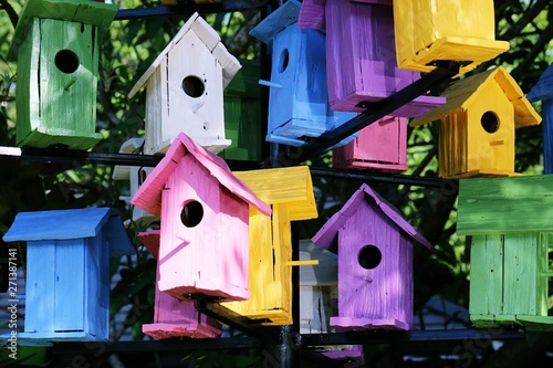 Colors of lovely birdhouse on tree Fototapeta