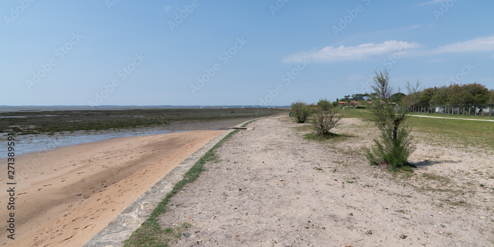 beach of cassy on the basin of Arcachon in France beach of cassy on the basin of Arcachon in France
