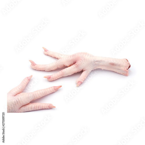 Fresh chicken feet Isolated on the white background.