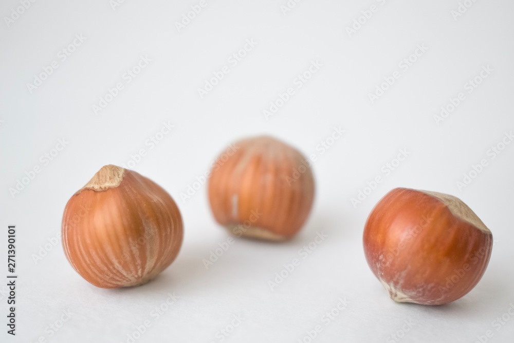hazelnuts on white background