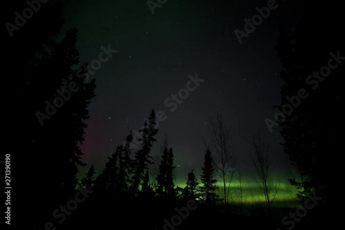 Time-lapse video of northern lights, aurora borealis, over spruce and birch forest, boreal forest