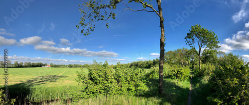 Farmland around Langweer photo