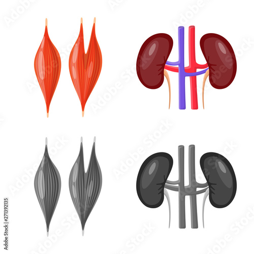 Vector illustration of biology and scientific icon. Collection of biology and laboratory stock symbol for web.