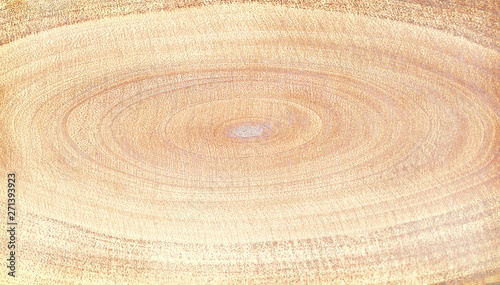 Wood abstract background , detailed oval overlap many layer nature seamless patterns for texture photo