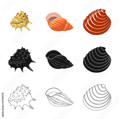 Vector illustration of animal and decoration symbol. Set of animal and ocean stock symbol for web.