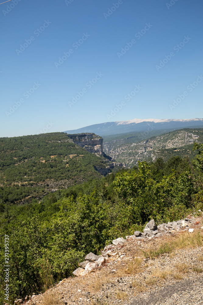 Landscape in the department of Vaucluse in Provence and the Mont Ventoux in the background. France