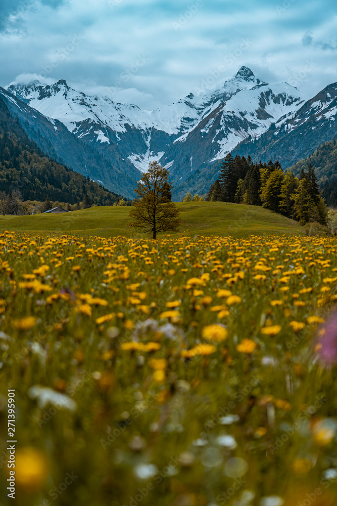 Spielmannsau bei Oberstdorf im Allgäu - Allgäuer Alpen