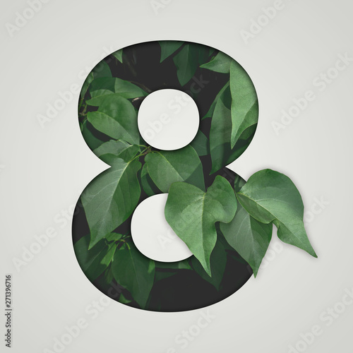 Nature concept. Creative number with green leaves on a gray background. Creative typography, Chapter in the presentation, template. 8 number eight.