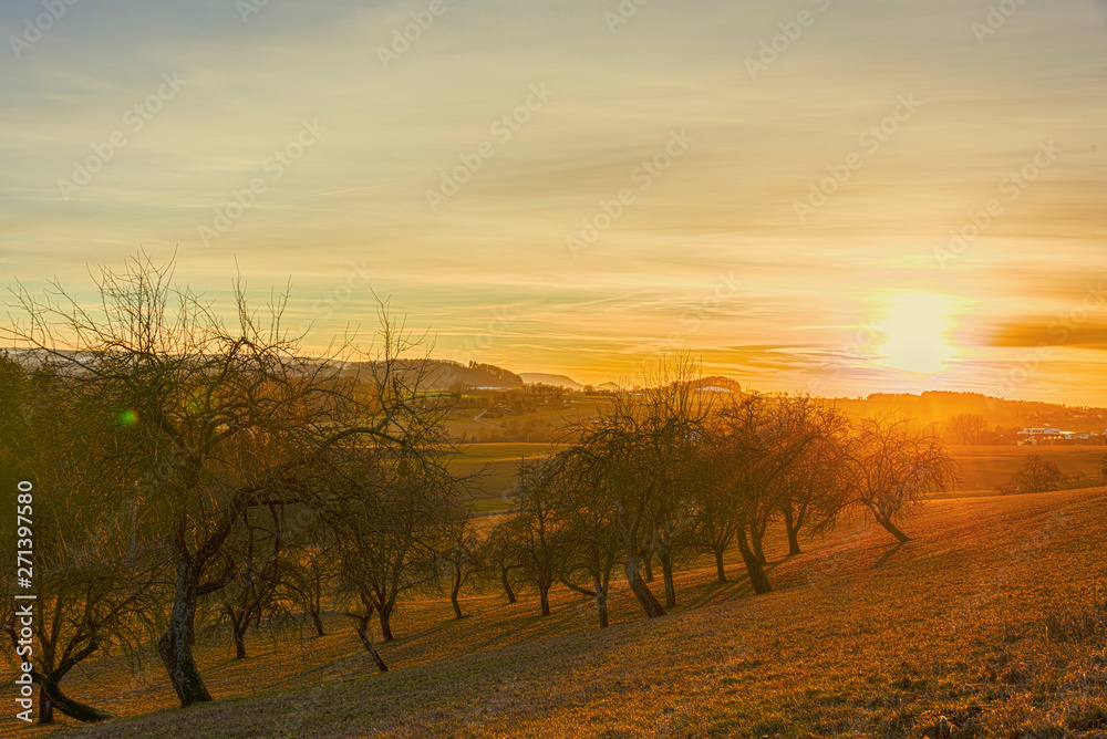 Obraz premium Winter wonderland in germany at sunset