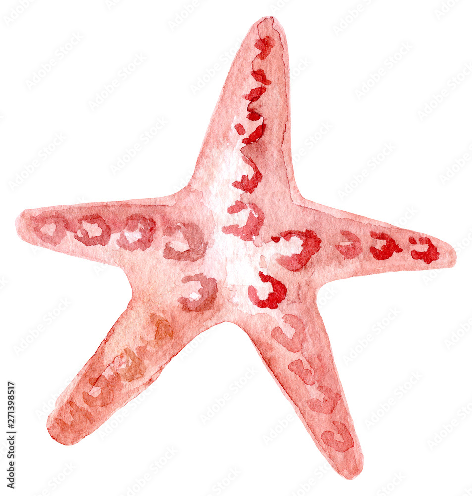 Hand painted watercolor starfish. Hand drawn illustration isolated on white  background. Watercolor sea animal clipart. Stock Illustration | Adobe Stock