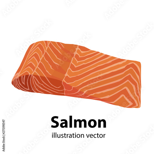 Fresh raw salmon fish illustration vector 