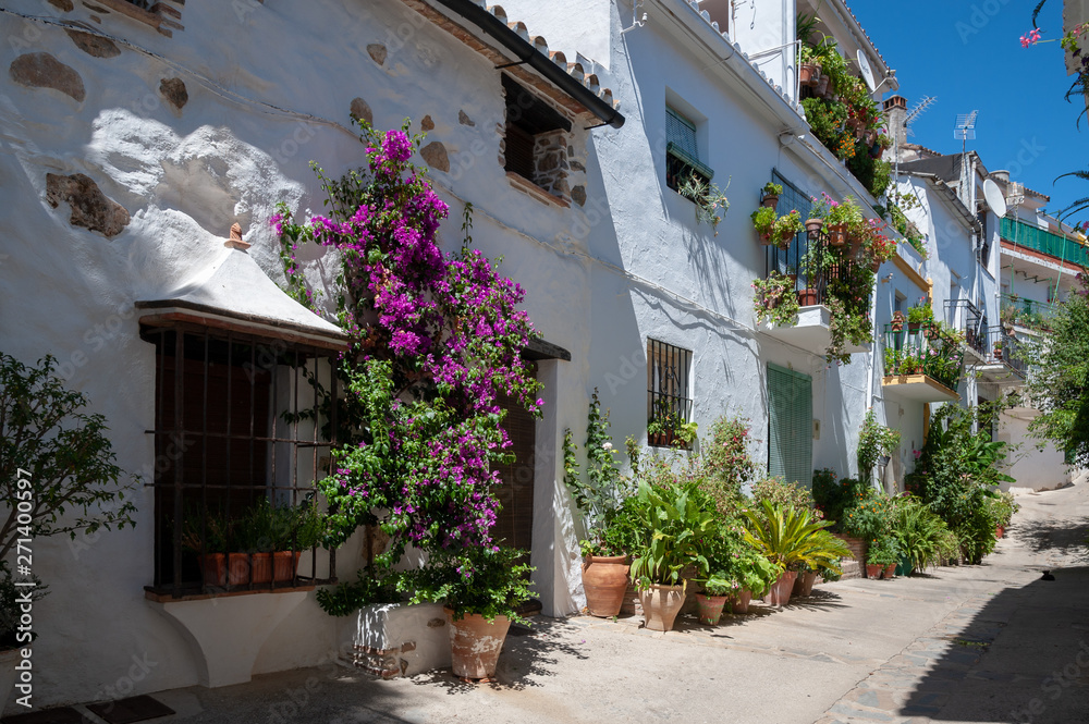 Street in Algatocin typical andalusian village with white houses and flowers