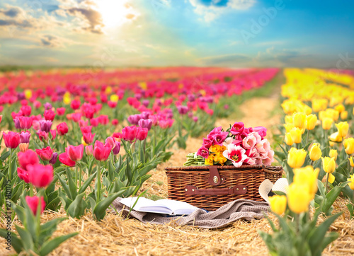 Place for rest among tulips...