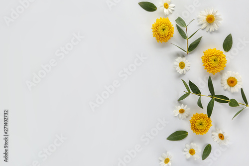 Beautiful fresh flowers and leaves on white background