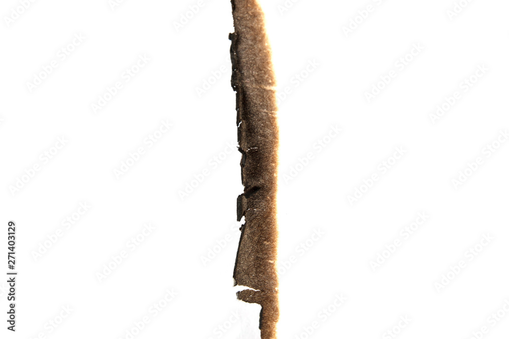 paper burned on white paper burned on white