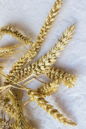 Spikelets of wheat on a white background. Top view