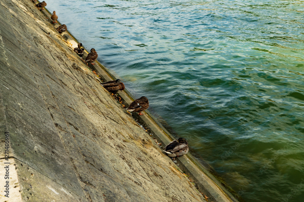 Fototapeta premium boat on the lake