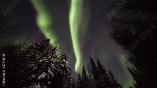 Northern Lights moving across the night sky above a snow-covered forest