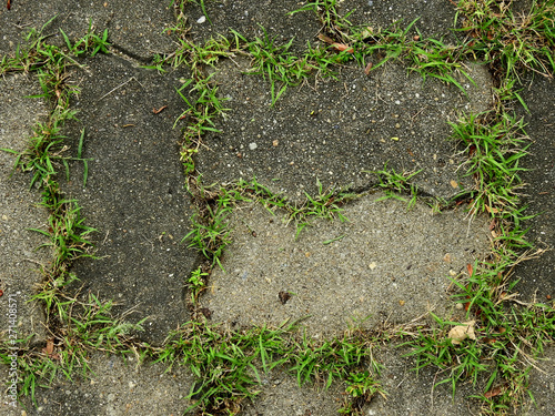 abandoned concrete block floor with grass texture