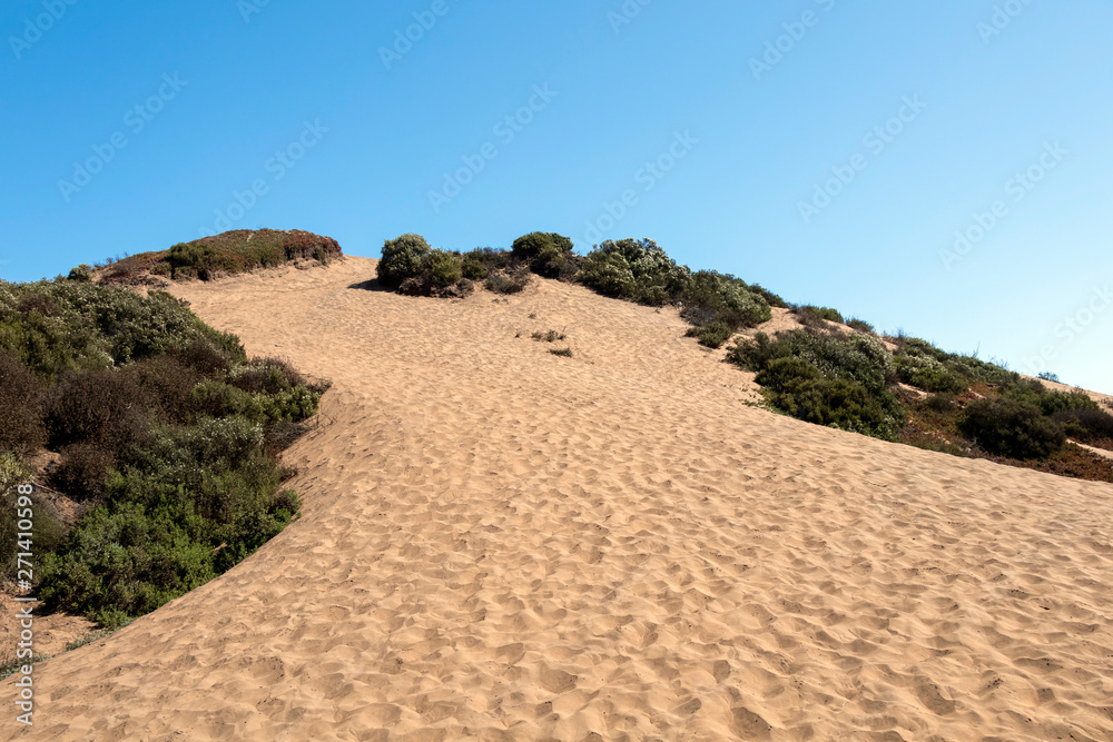 Beautiful sand dunes in Concon Dune field, Chile, South America Beautiful sand dunes in Concon Dune field, Chile, South America